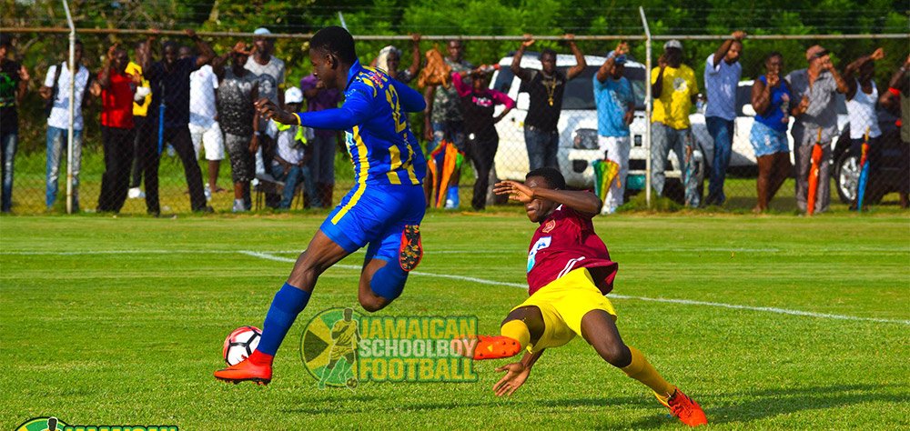 STETHS vs Maggoty action